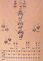 Baltic amber jewellery